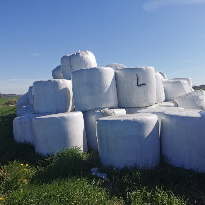 Sianokiszonka lucerna baloty, pryzma