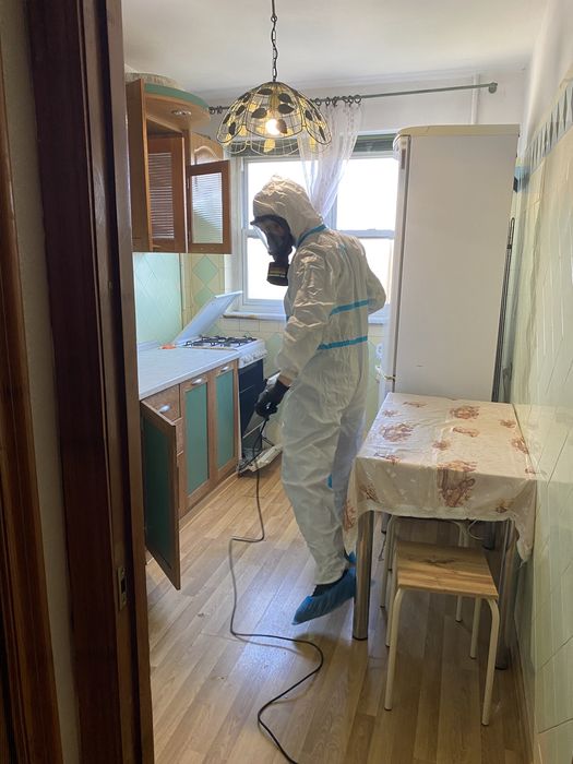 Професійне знищення тарганів блох клопів щурів мишей