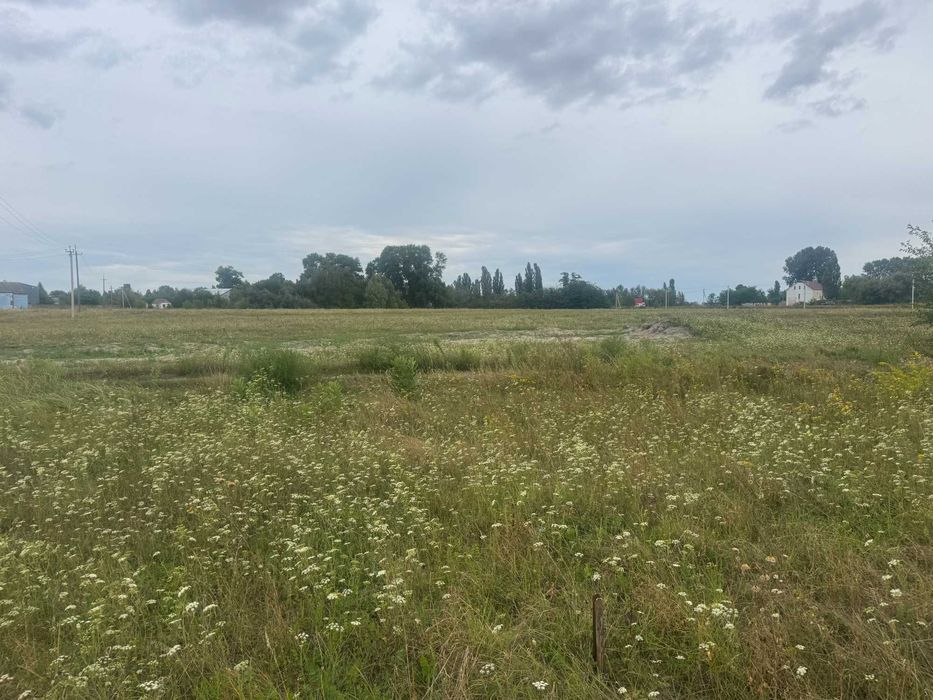 Продам 16 соток, під забудову, с. Гоголів