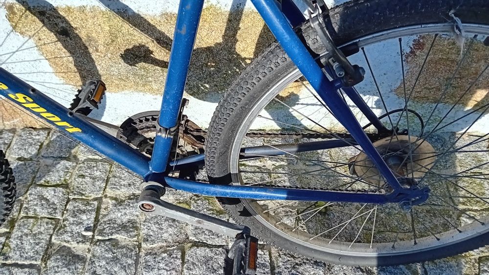 Bicicleta "Bike Sport"