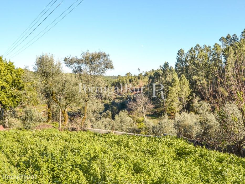 Lote de terreno com 1.600 m², para construção de moradia — Proença-A-Nova E Peral, Castelo Branco