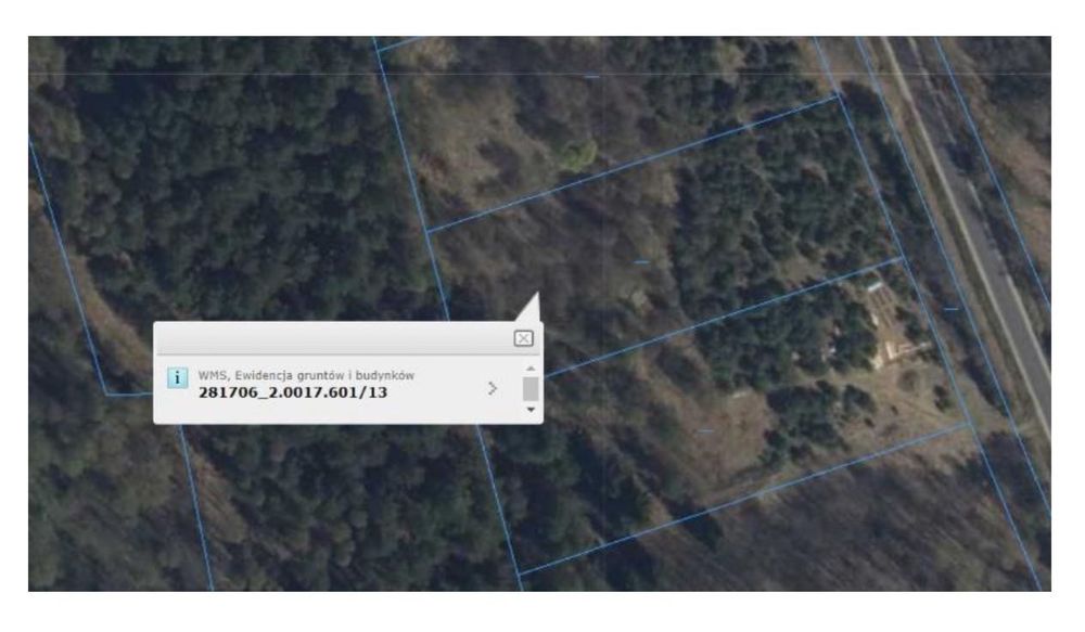 Sprzedam działkę nr 601/13 – 0,3316 ha (3316 m²) – Olszyny k. Szczytna - Widok 3
