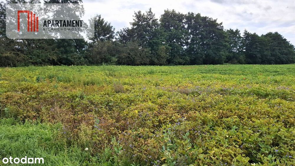 Działki Żołędowo – 1161 m² I 1470 m² - Widok 3