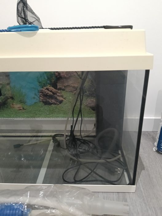 Aquário Juwel medidas 60x30x40