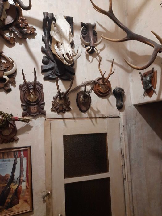 Трофейна колекція