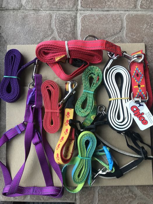 Повідець для собак