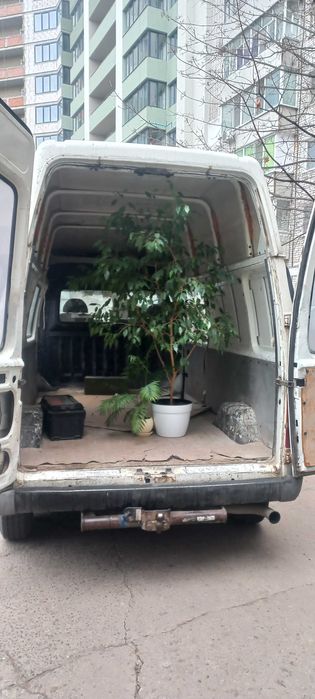 Грузоперевозки "Женя-экспресс"