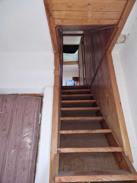 Затишна дача біля соснового лісу с. Любимівка