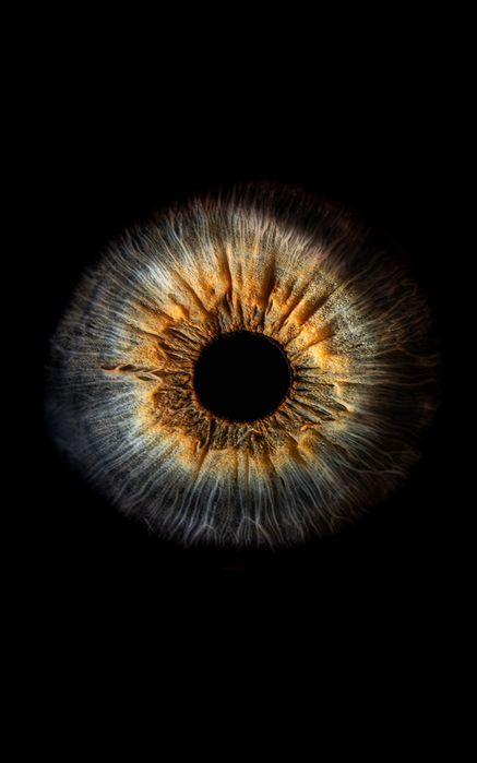 Sony FE 90mm f/2.8 Macro G OSS