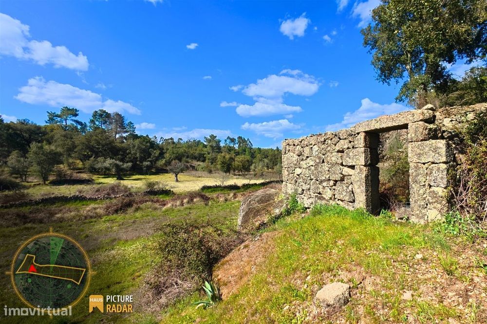 Terreno 1.1ha com Ruína e Vale Fértil | Cafede, Castelo Branco