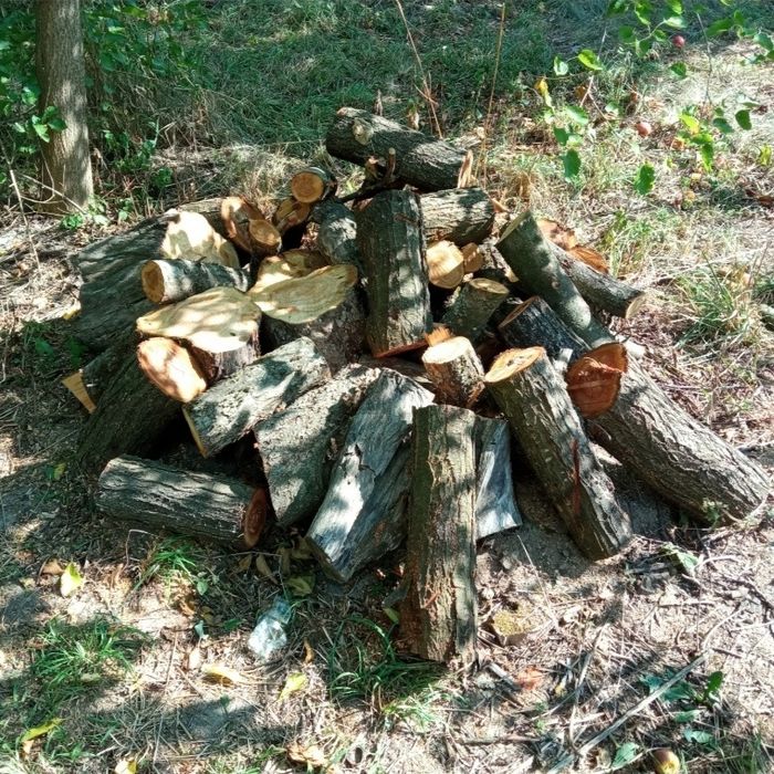 Продам пеньки, дрова.