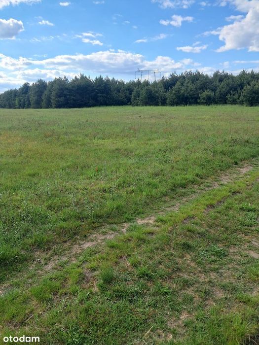 Na sprzedaż działka budowlana 36 arów – Nielepkowice - View 6