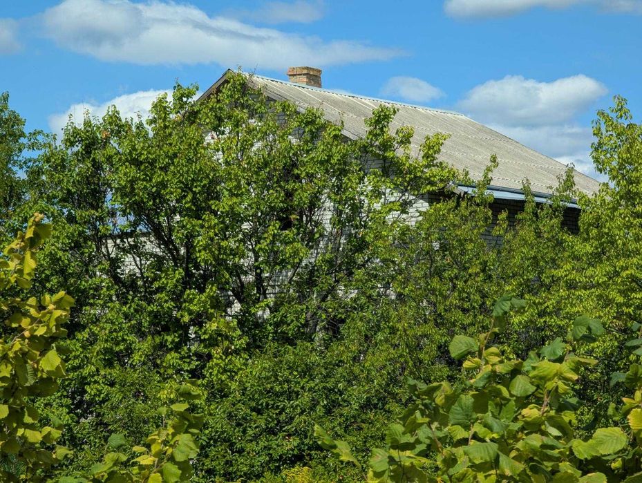 Фасадна Земельна ділянка - 102 сотки.  Рославичі.