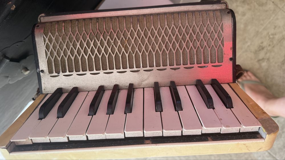 Acordeon/concertina hohner em madre perola