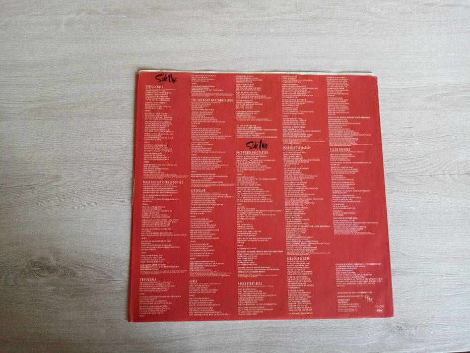 Tina Turner  Break Every Rule  LP  WINYL  USA  EX/EX