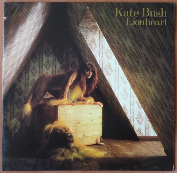 Discos de vinil usados - Kate Bush, Giant Sand, Violent Femmes, etc.