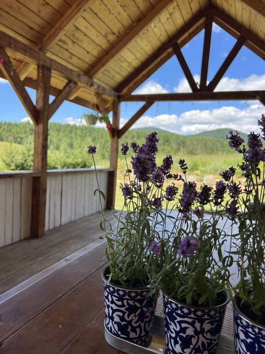 Будинок в Карпатах близько ГК Плай, СПА, ліс. Котедж 140 км від Львова