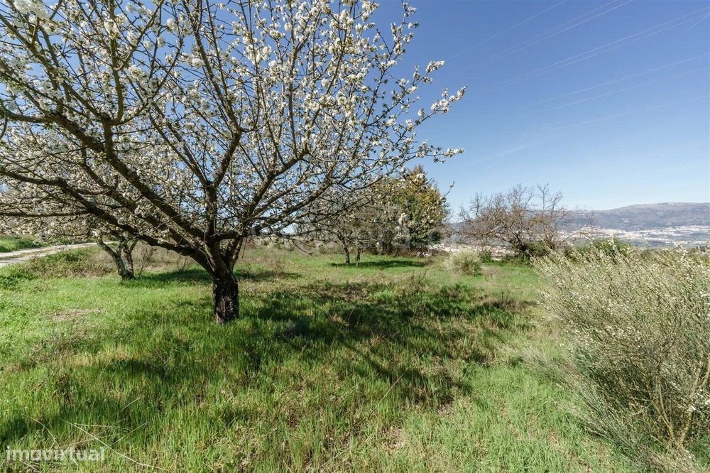 Quinta Estúdio / Covilhã, Ferro