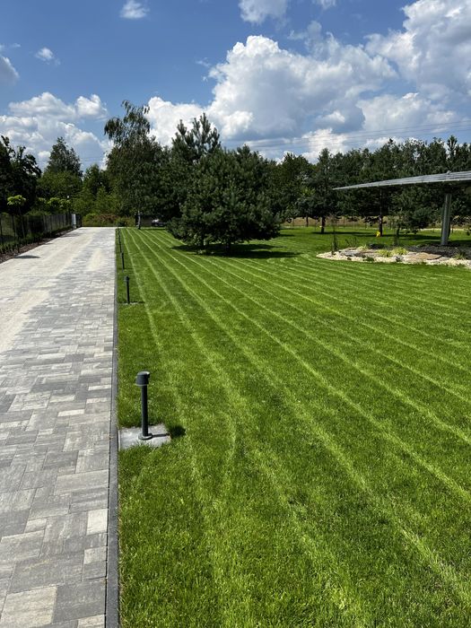 Glebogryzarka separacyjna krata niwelująca siewnik