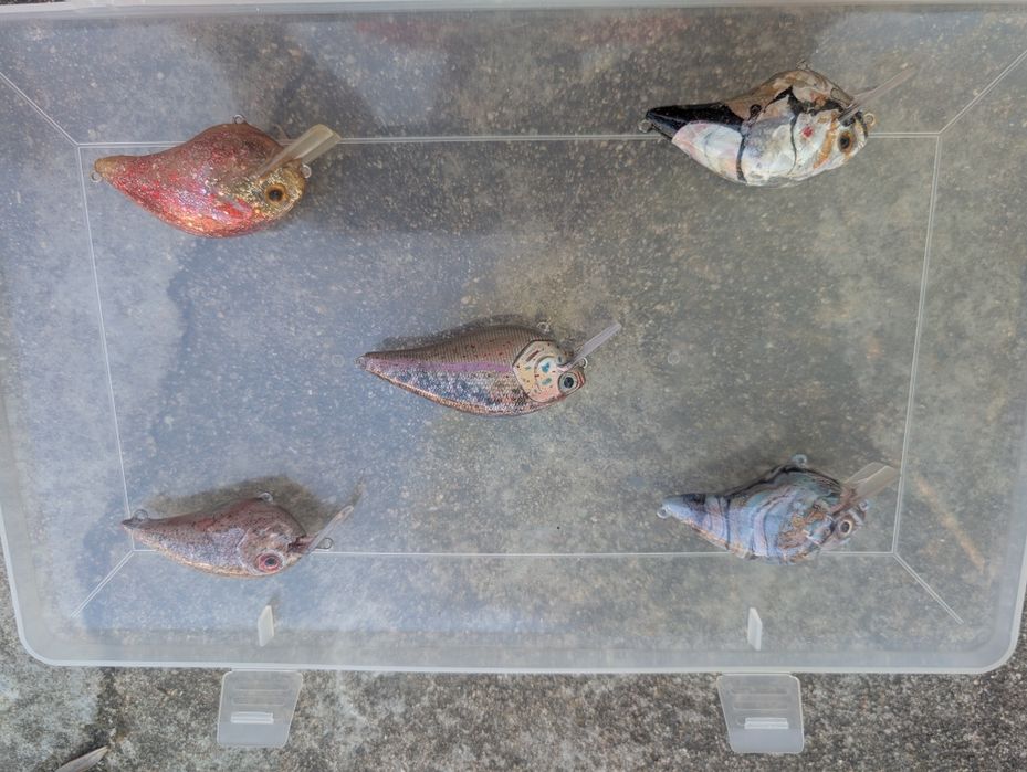 Amostras de pesca personalizadas