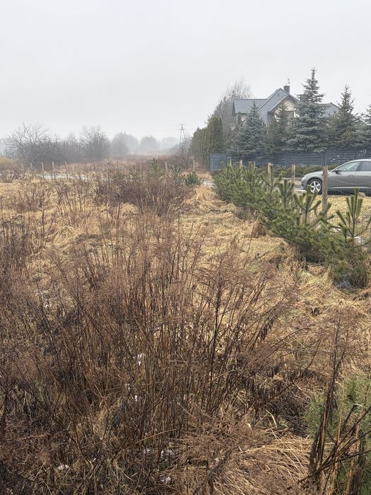 Działka budowlana 1500 m² Stare Złotno - Widok 6