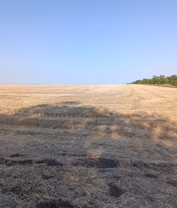 Продам пай за  Беляевкой 10000  доллСША.