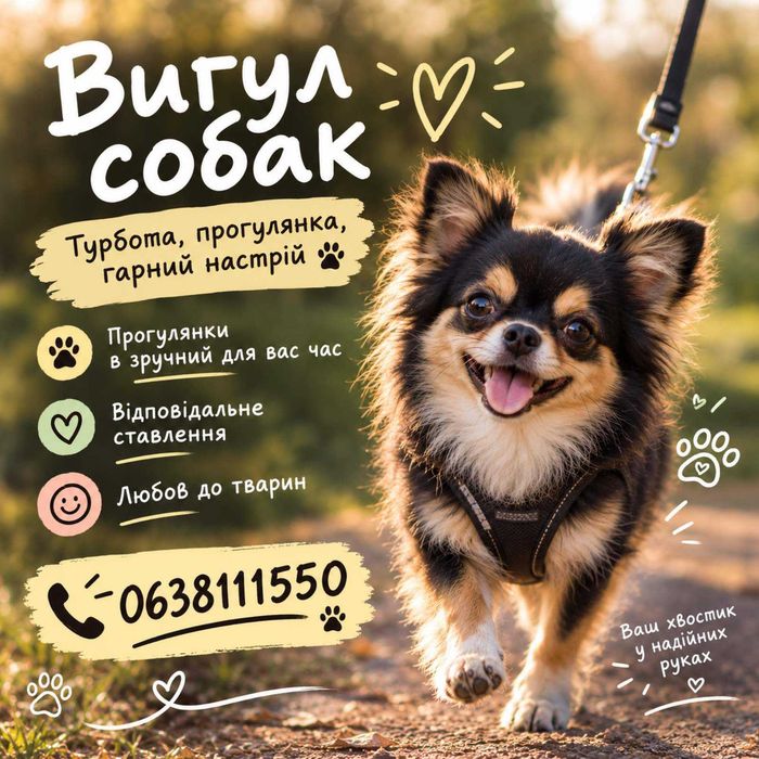 Вигуляю собаку. Поприбираю в квартирі