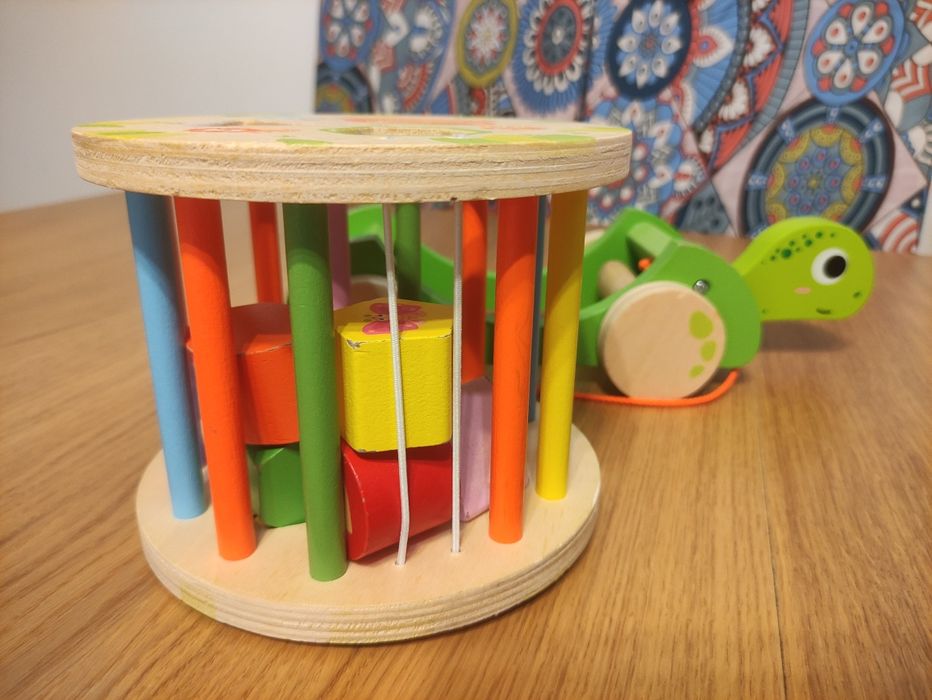 Drewniany żółw. Sorter.