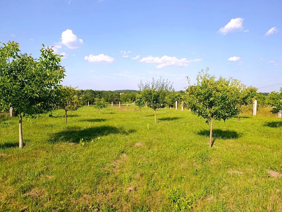 Продаж Будинку на 25 сот. землі!