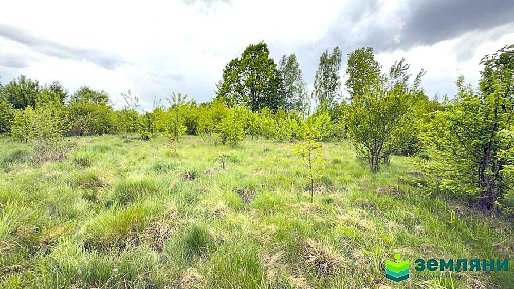 Продається ділянка 10 сот під будівництво в с. Березівка (7)