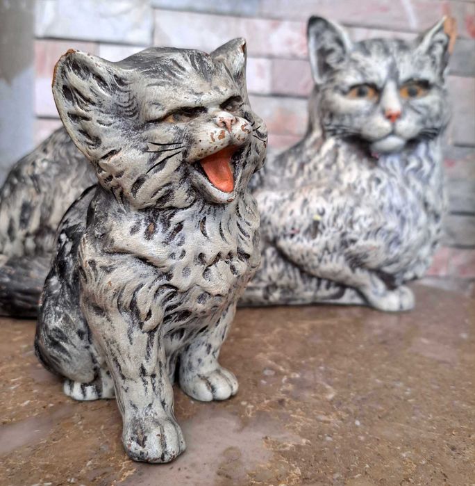 Par de gatos Caldas da Rainha Belo