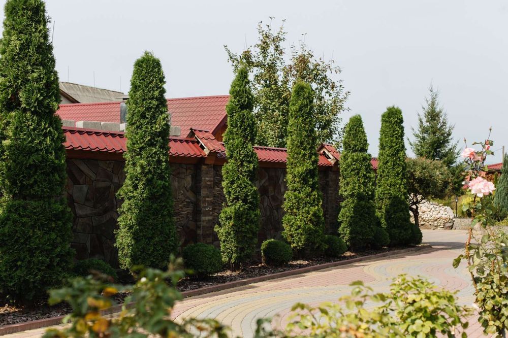 Готель Вільхівка