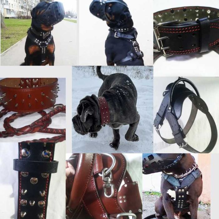 Ошейник.Намордник.Поводок.Шлея. Кожанный ошейник для кожанной собаки.