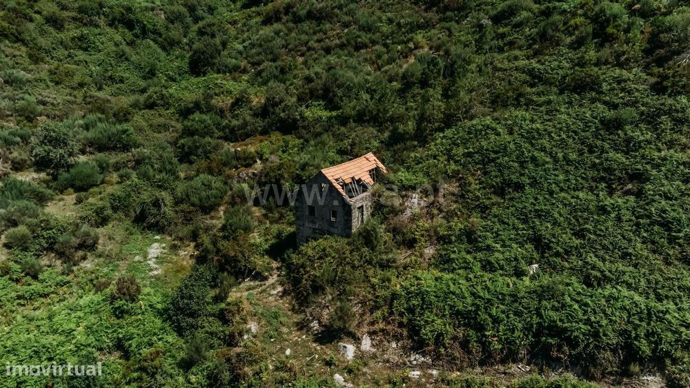 Terreno / Seia, Loriga — Loriga, Guarda
