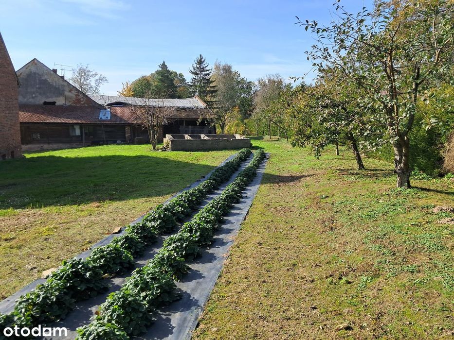 Rezerwacja - Gospodarstwo | 2,30 ha | Rudziczka k. Prudnika