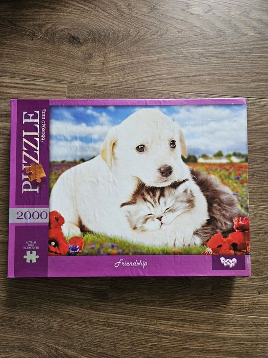 Пазл Danko toys на 2000 і 500 елементів