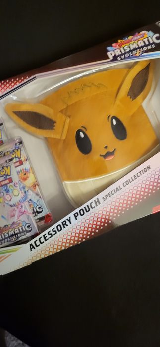 Accessory pouch special collection team  rocket's mewtwo ex box