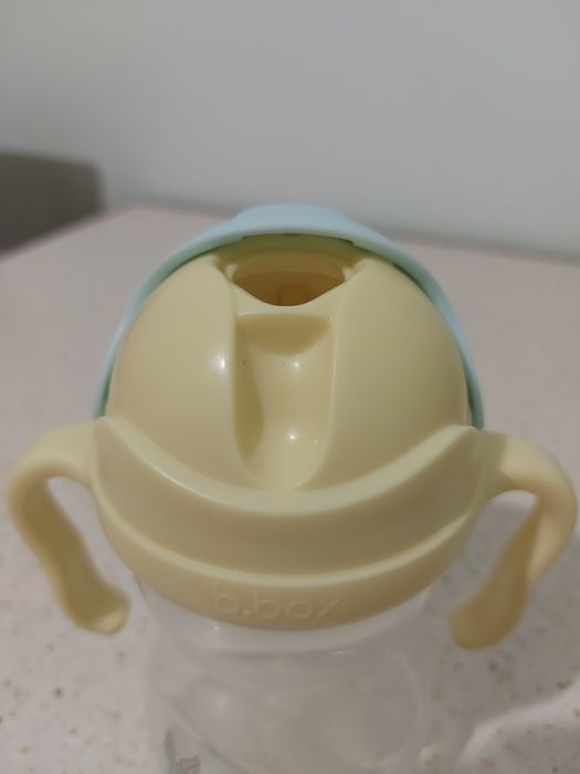 B.box bidon z krolikiem