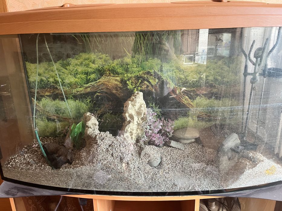 Аквариум 200 литров + декор, компресоор и прочее