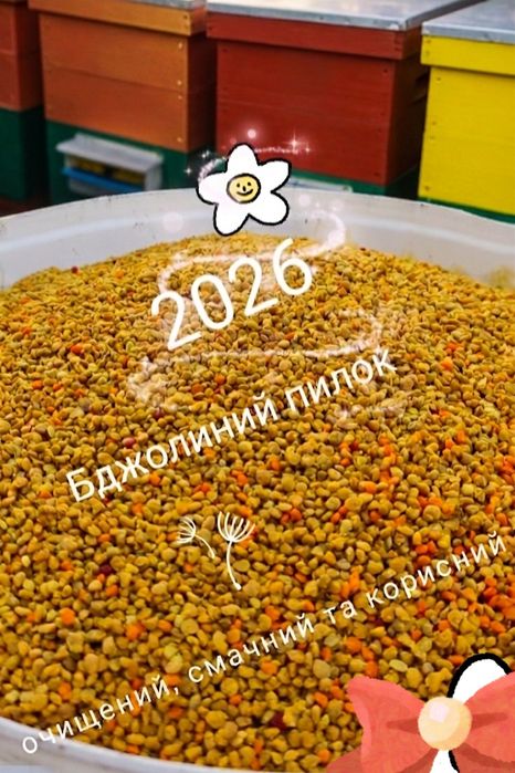 Бджолиний пилок очищений