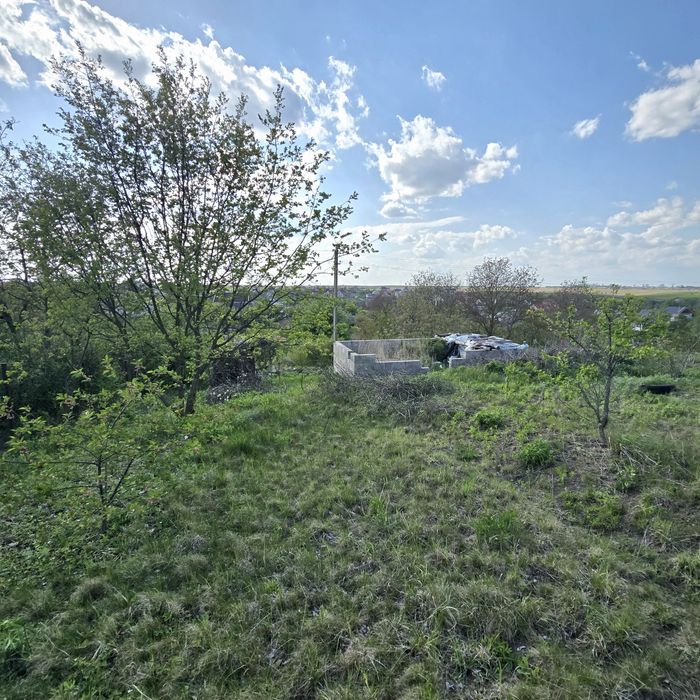 Фото ділянки