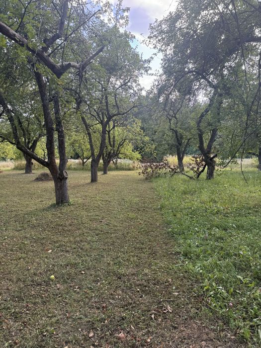 Продам булинок с.Абрикосівка