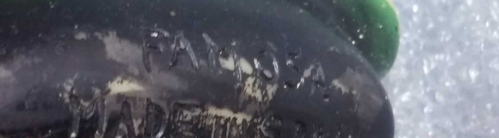 Anão da Branca de Neve - Famosa