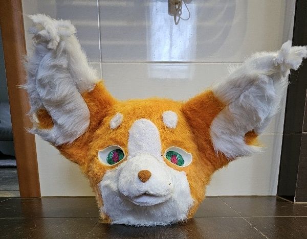 Furry, kostium nowy