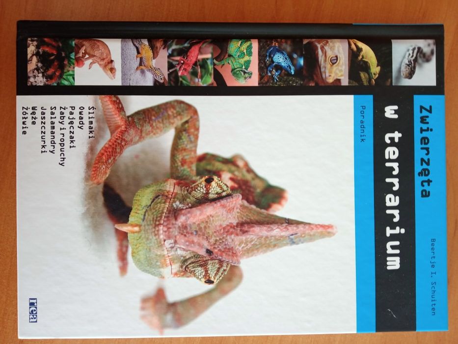 Zwierzęta w terrarium