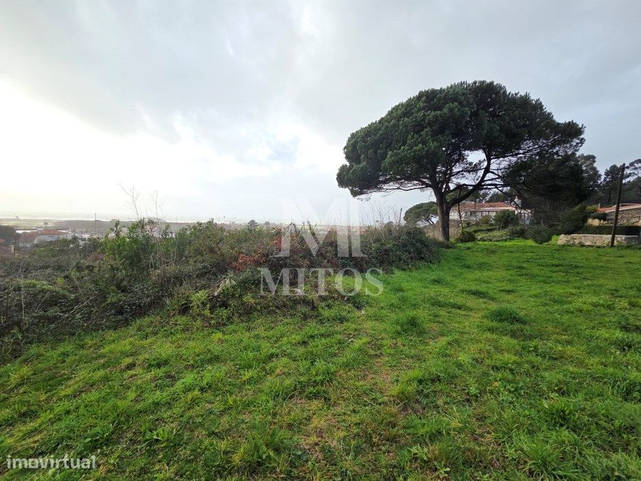 Terreno com projeto aprovado para venda em Areosa