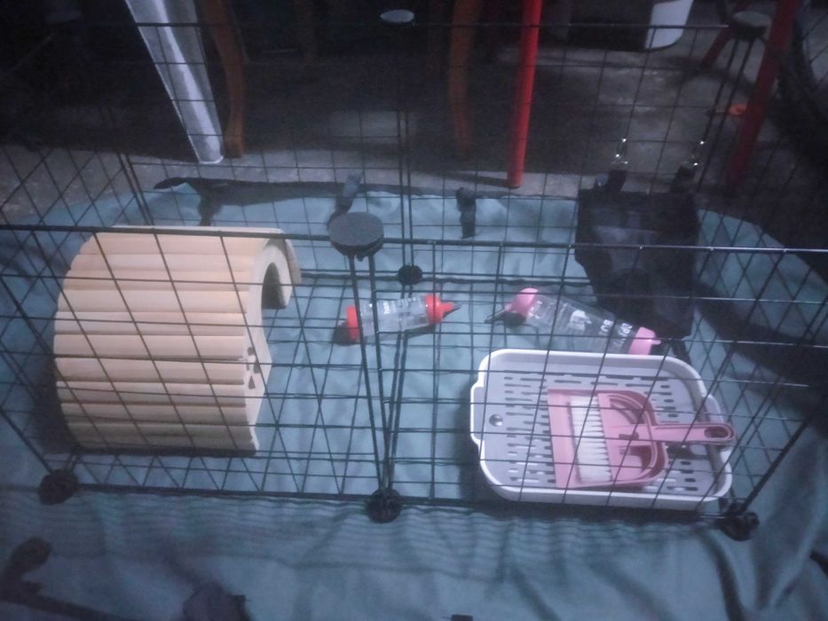 Gaiola para roedores