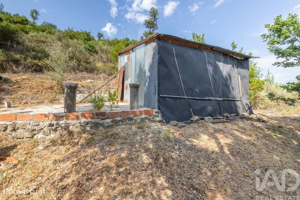 Terreno Agrícola em Sandomil