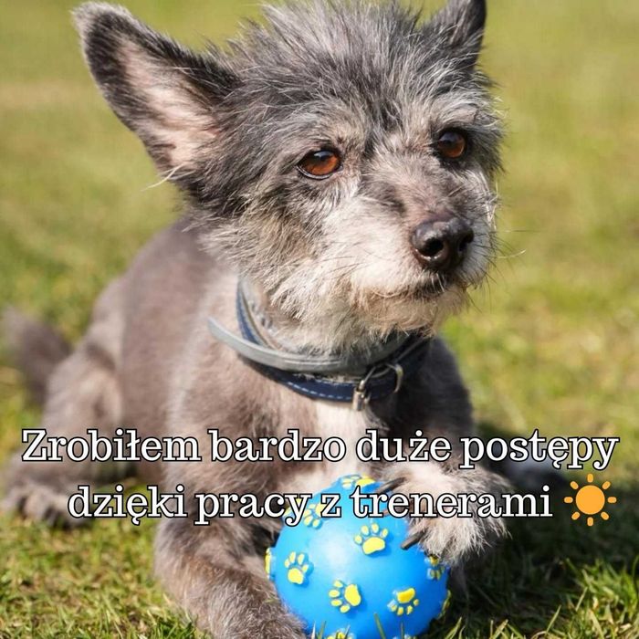 Tituś czeka na dom...