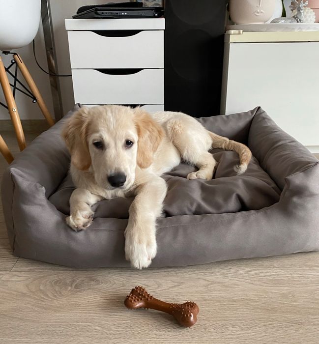 Wygodne legowisko dla pupila HAFT z imieniem + GRATIS poduszka